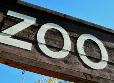 The zoo from Râmnicu Vâlcea